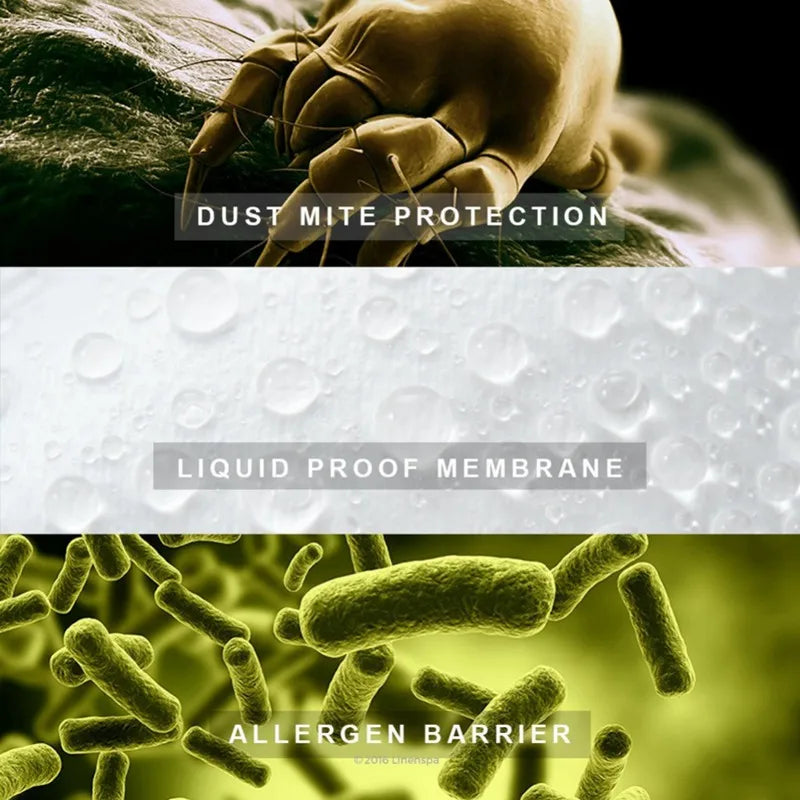 Waterproof Pillow Protector - Anti Mites
