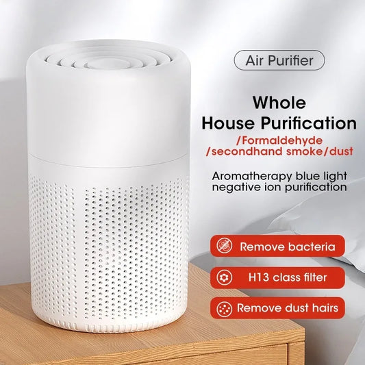 Air Purifier  Filter 2-in-1 Deodorizing Air Cleaner for Home