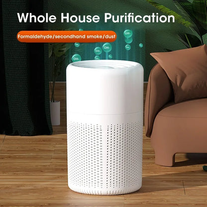 Air Purifier  Filter 2-in-1 Deodorizing Air Cleaner for Home