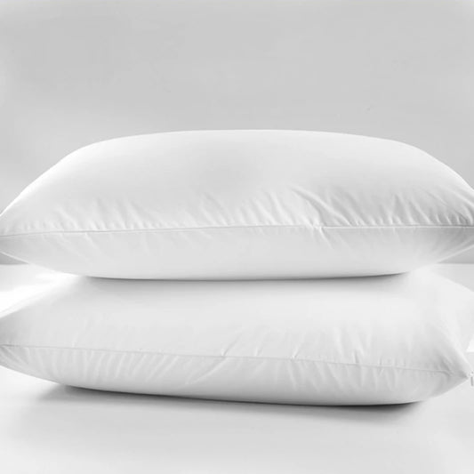 2 x Anti-mite Pillow Cover